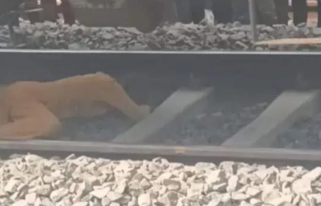 1756364373 Untitled 1 copy